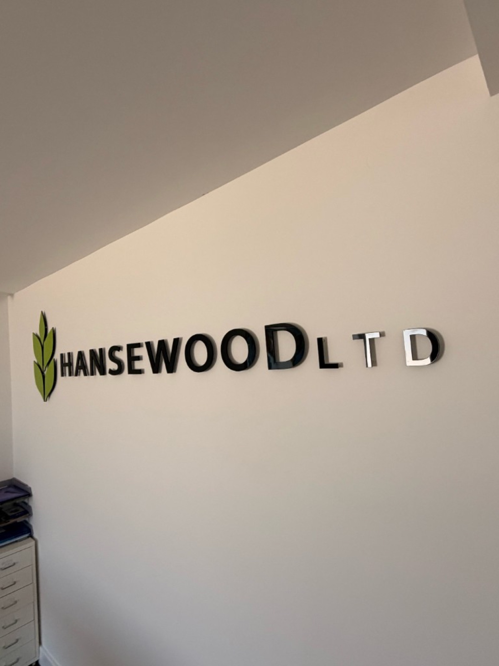 Hansewood Ltd built-up letters with chrome and gloss finish on office wall